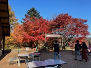 紅葉狩りに草津温泉へ行ってきた！
